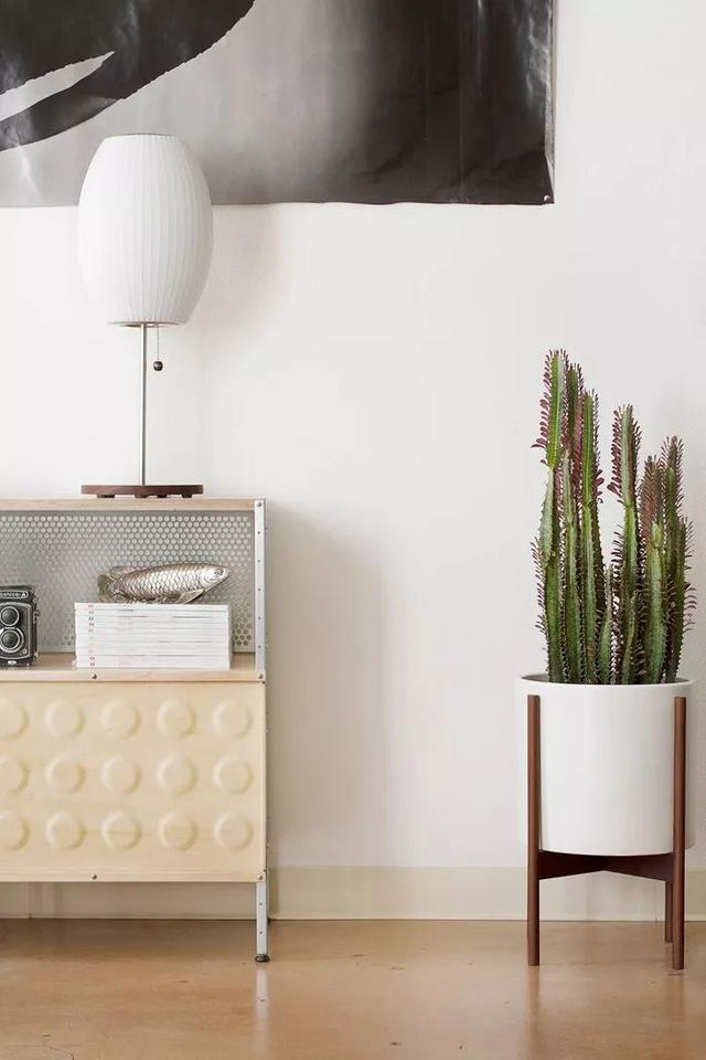 室內花架的款式選擇 你更喜歡哪種類型？