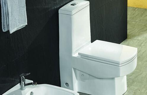 最小安裝馬桶尺寸 馬桶安裝養(yǎng)護(hù)方法