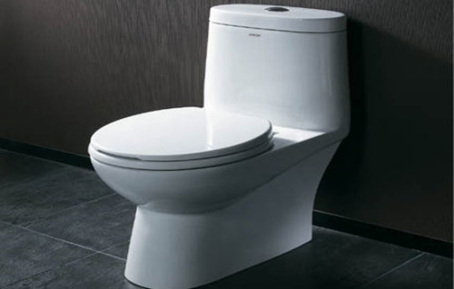 美標馬桶怎么安裝 衛生間裝修注意事項